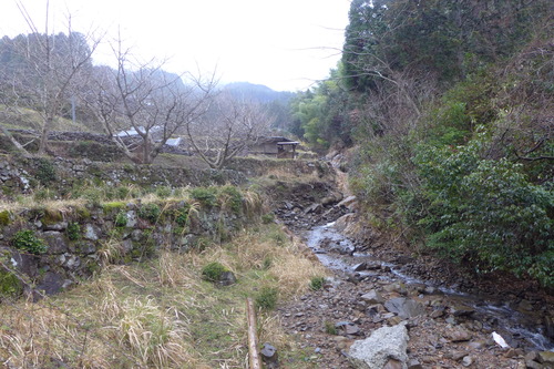 P1100148