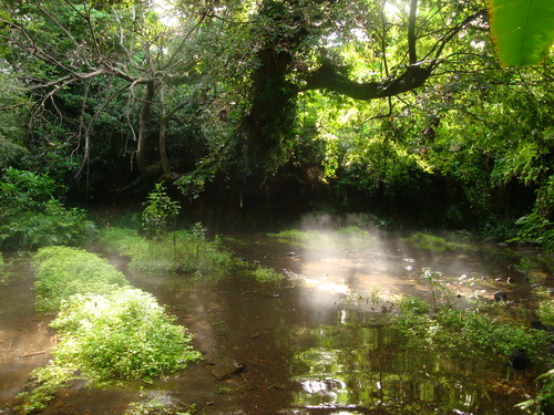 DSC09914