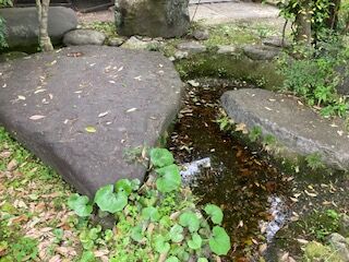 IMG_3867
