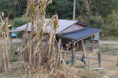 P1080255