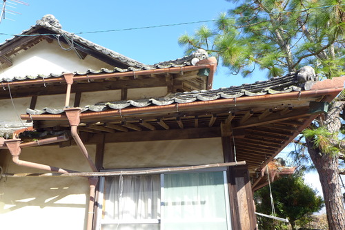 P1050006