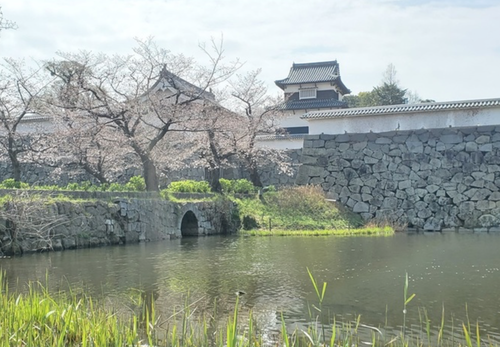 スクリーンショット 2024-12-12 14.49.33