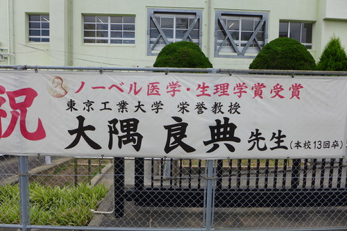 20240526香椎第一中学校運動会っ！