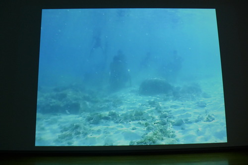 P1150273