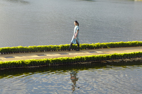 P1530395