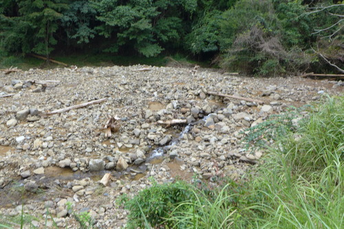 P1200285