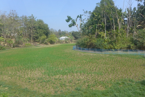 P1450620
