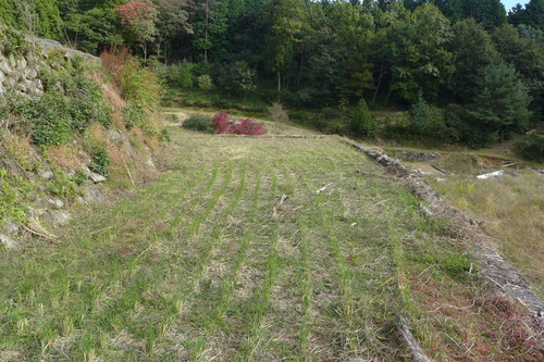 P1250856