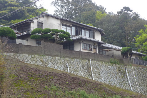 P1100524
