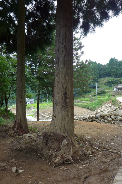 P1200260
