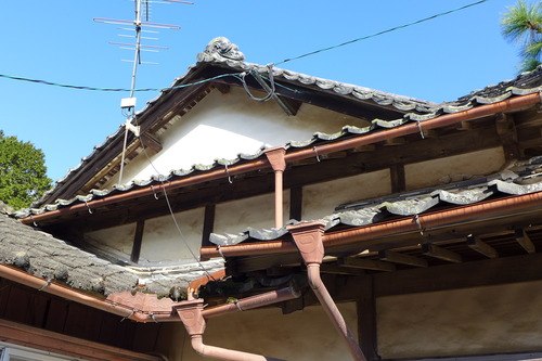 P1050007