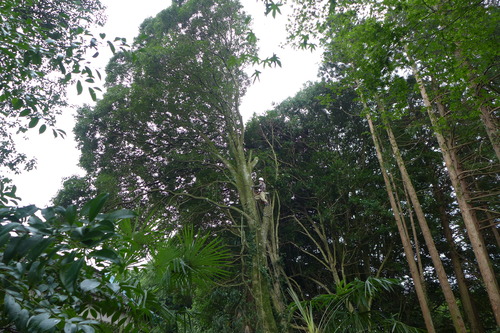 P1160814