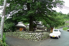 P1160372