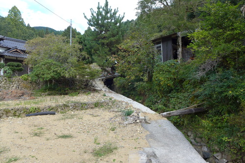 P1250817