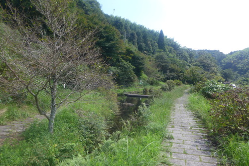 P1170441
