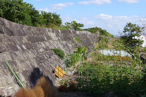 P1240270