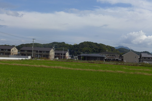 P1500329