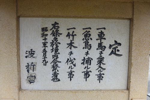 P1050999