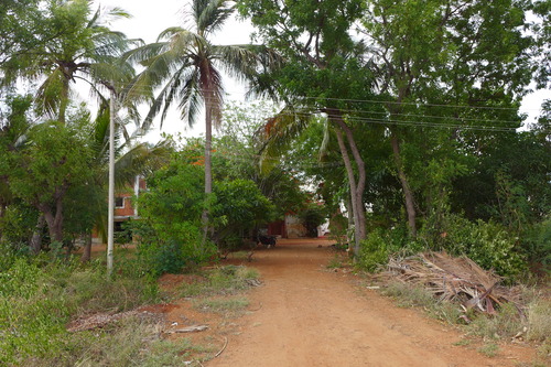 P1200127