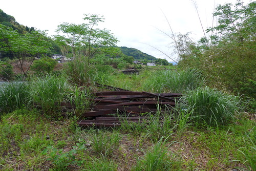 P1520464