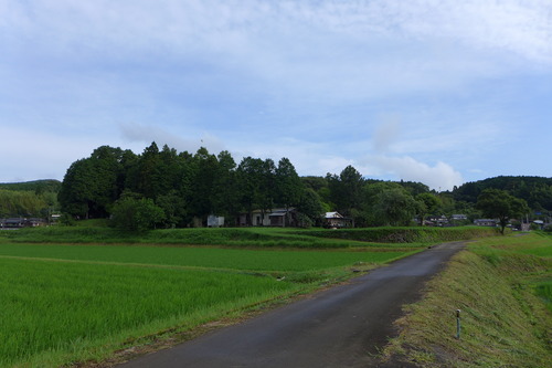 P1160101
