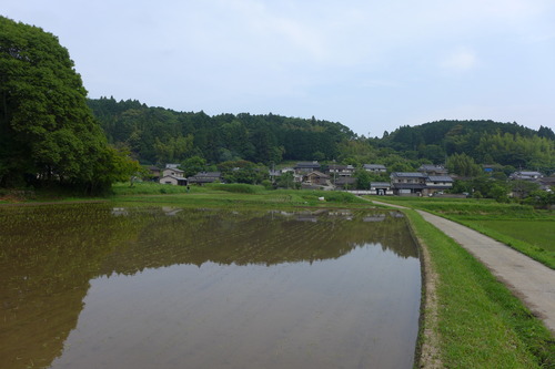 P1110423