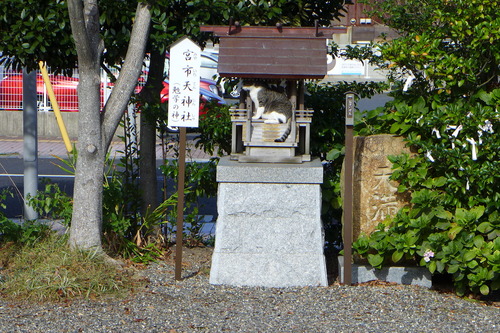 P1270850