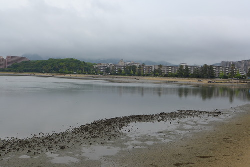 P1050076