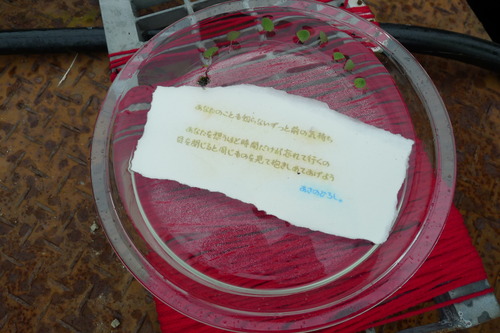 P1240601