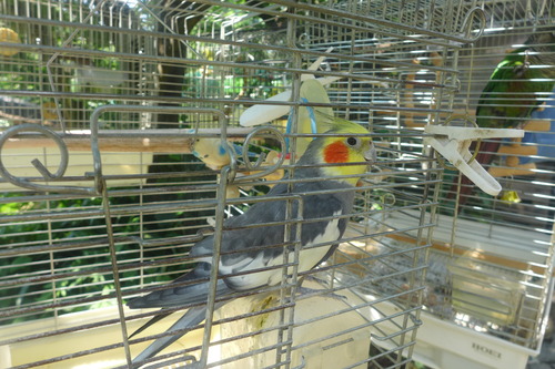 P1200402