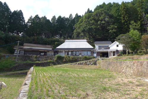 P1250883
