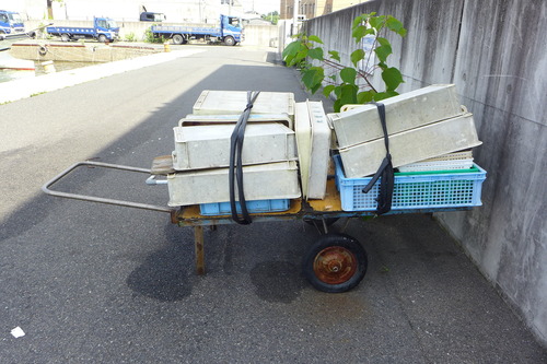 2023年7月6日（木）宇部港の考現学！！