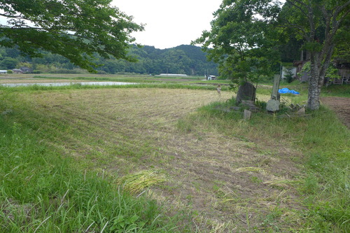 P1120868