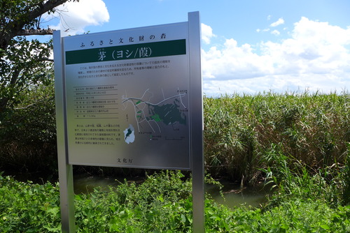 P1080972