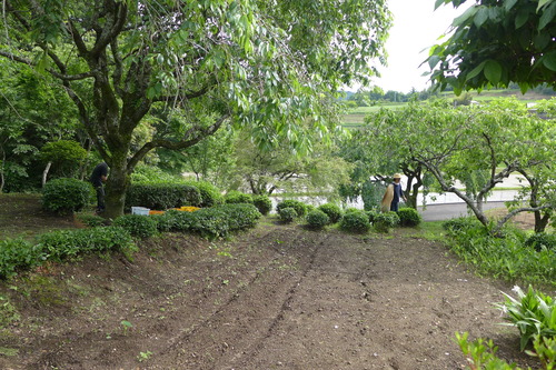 P1150774
