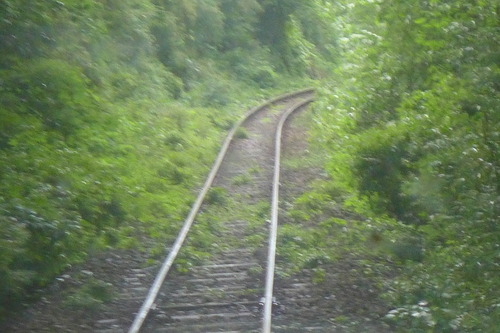 P1300221