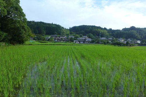 P1160767
