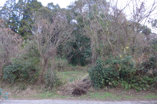 P1060624