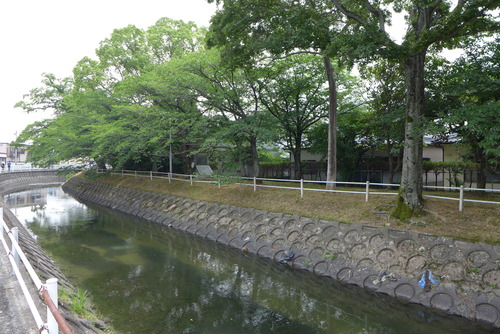 P1080274