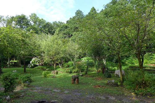 P1160131