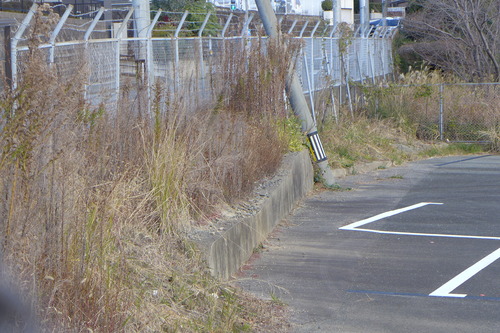 P1030593