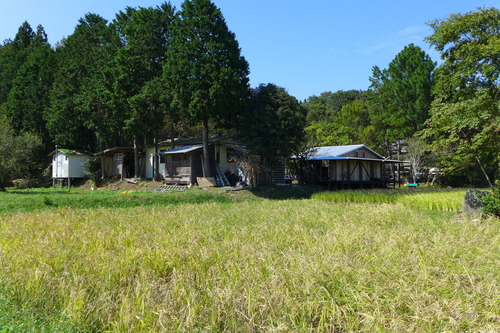 P1180951