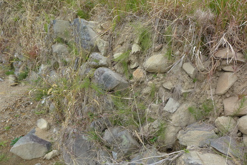 P1280869