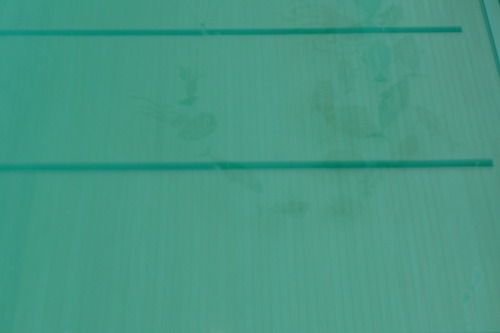 P1160368