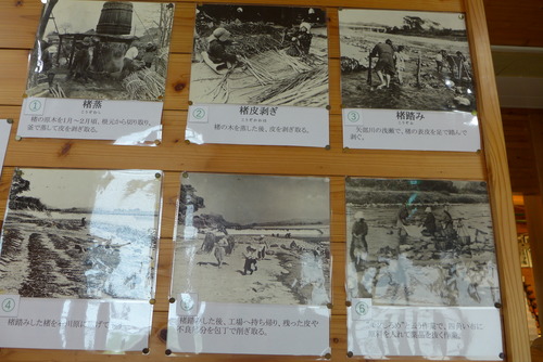 P1210162