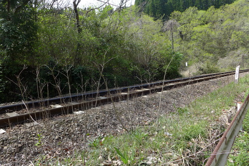 P1130031
