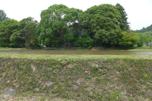 P1100838