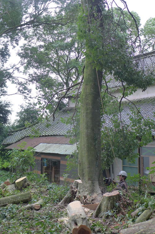 P1160844
