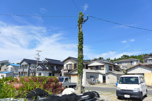 P1320593