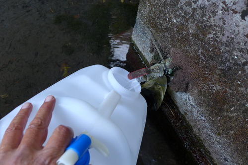 20251128昼、竹田市倉木、甘露甘露な妙見さん湧水を汲みました！